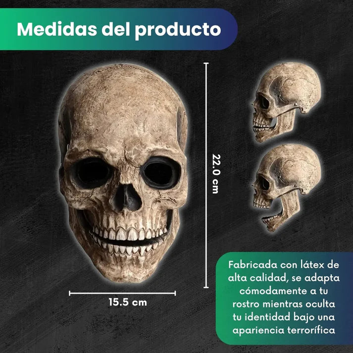 Encabezado