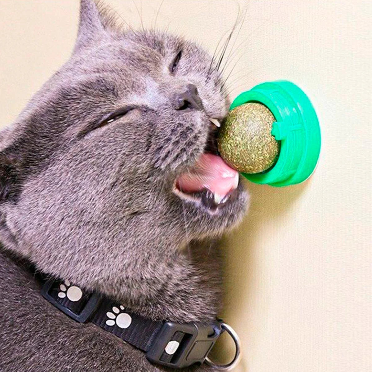 Catnip Juguete Para Gatos Anti Estrés