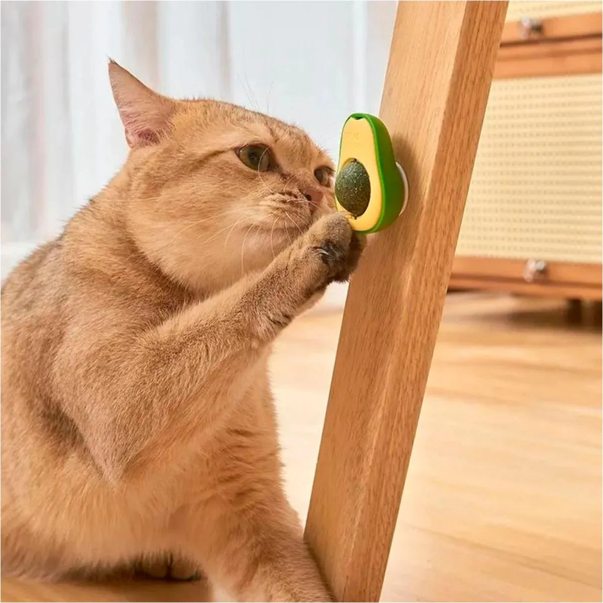 Catnip Juguete Para Gatos Anti Estrés