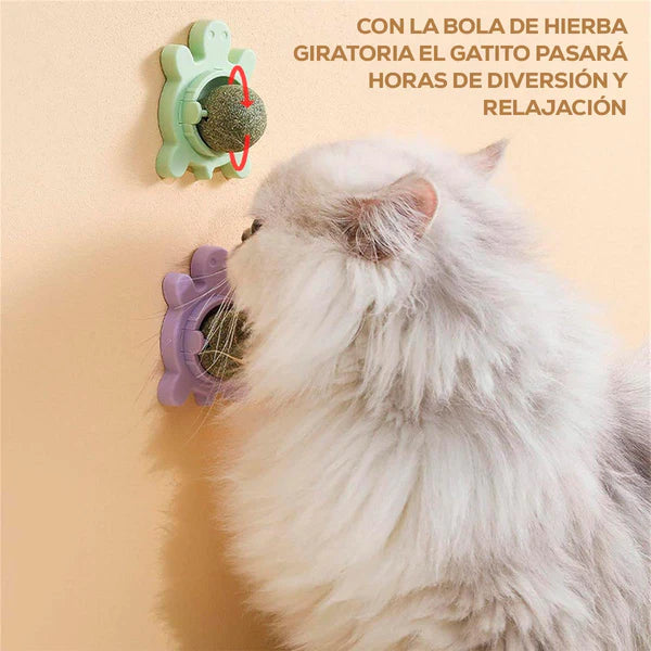 Catnip Juguete Para Gatos Anti Estrés